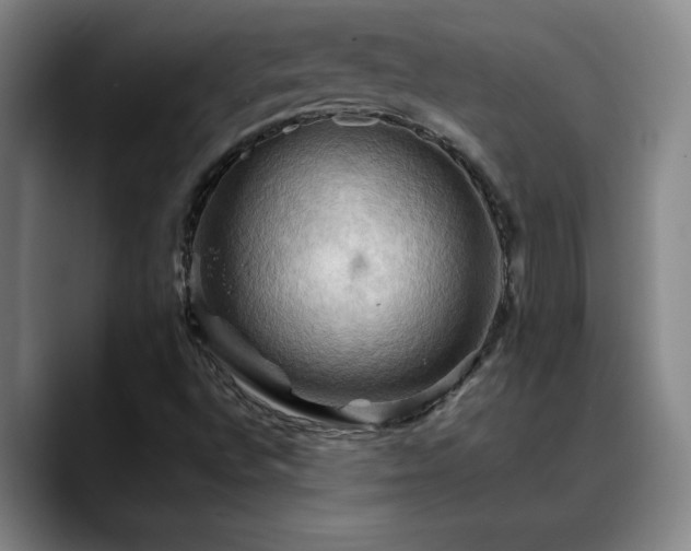 X0000088861496200706151726