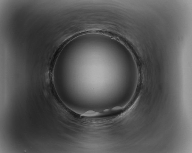 X0000088861497200706151726