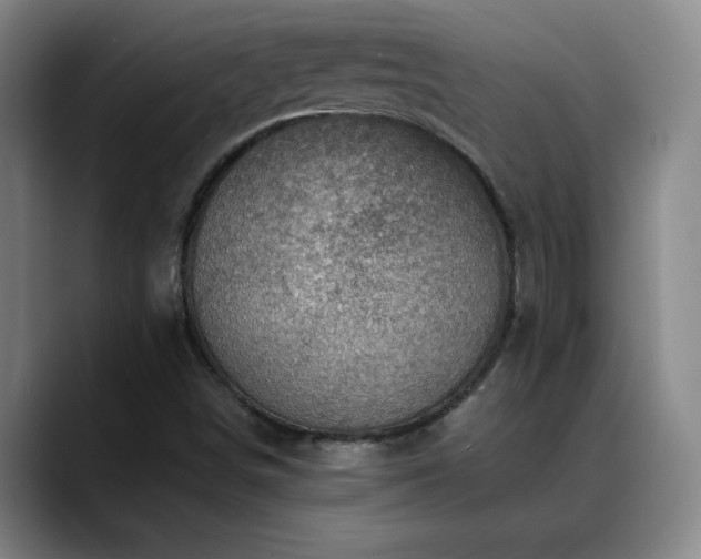 X0000088861498200706151726