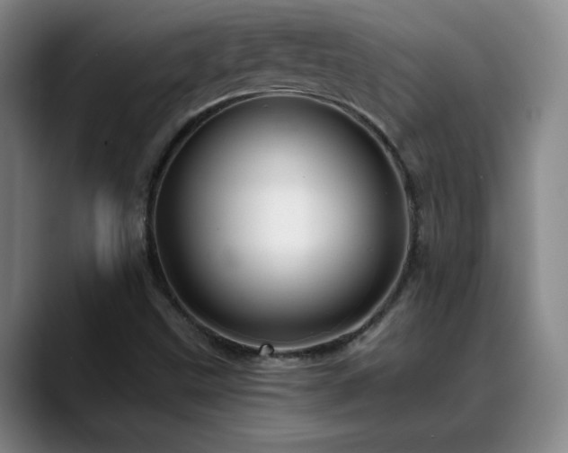 X0000088861499200706151726