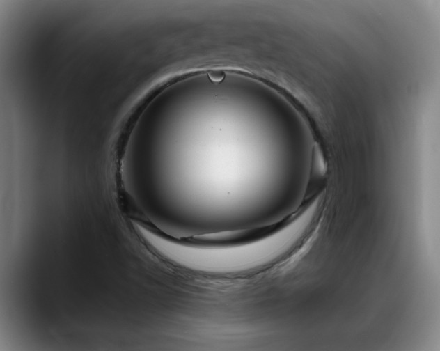 X0000088861502200706151726