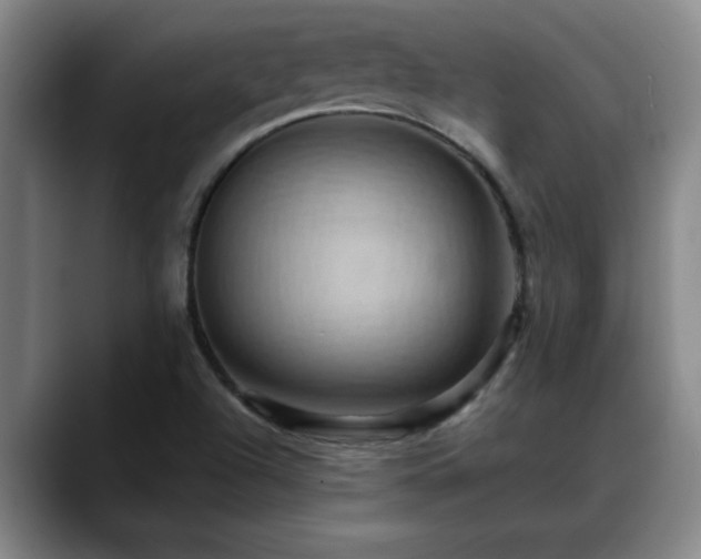 X0000088861504200706151726