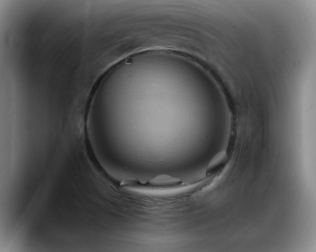 X0000088861505200706151726