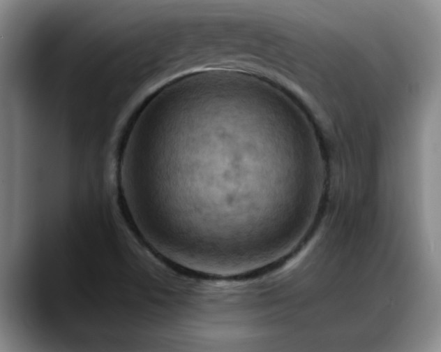 X0000088861506200706151726