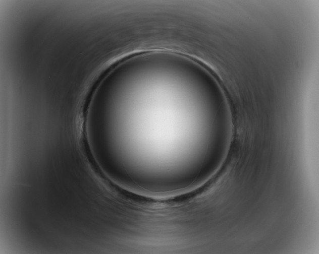 X0000088861507200706151726