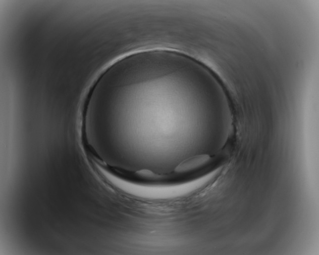 X0000088861508200706151726