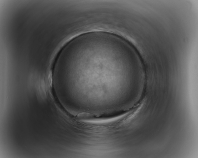 X0000088861509200706151726