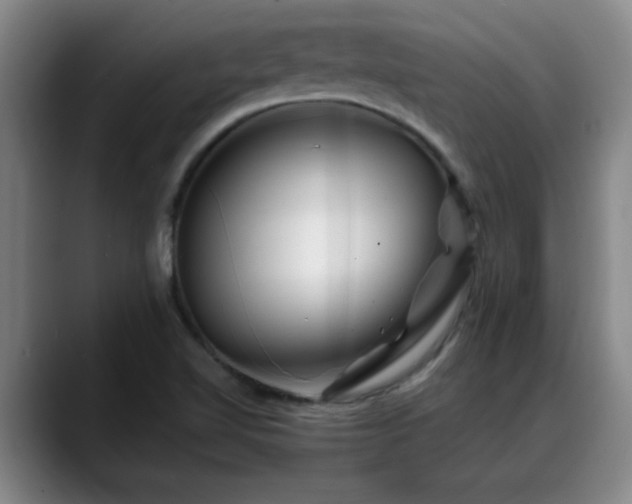 X0000088861510200706151726