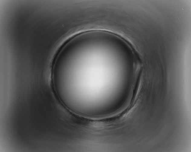 X0000088861511200706151726