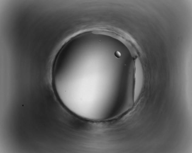 X0000088861512200706151726