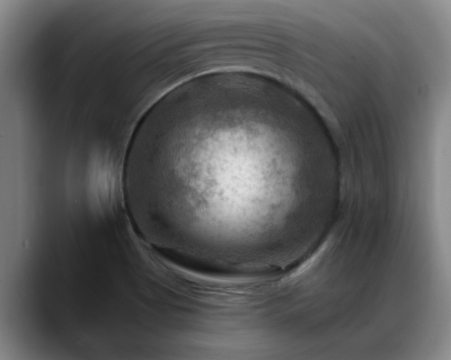 X0000088861513200706151726