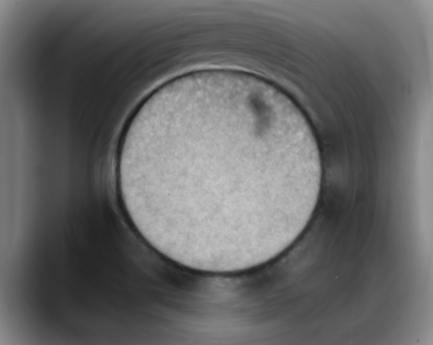 X0000088861514200706151726