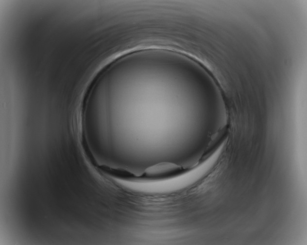 X0000088861515200706151726