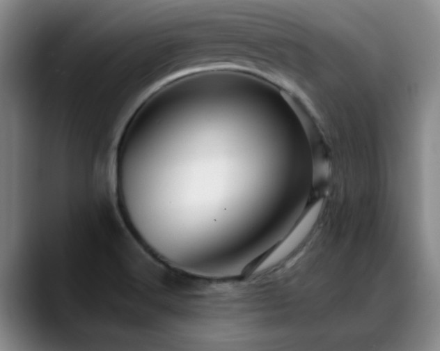 X0000088861516200706151726