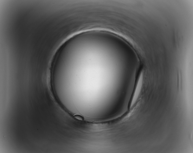 X0000088861518200706151726