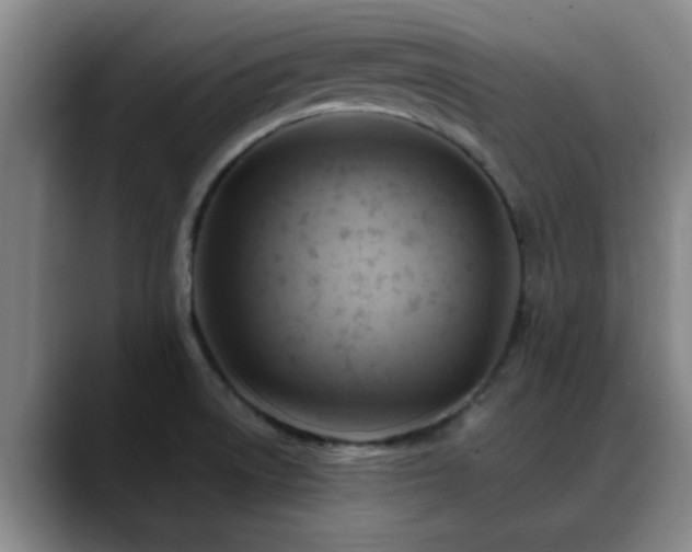 X0000088861522200706151726