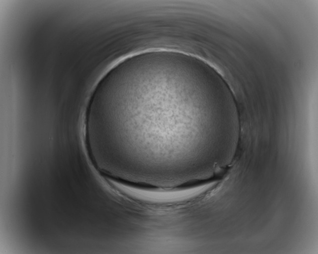 X0000088861523200706151726