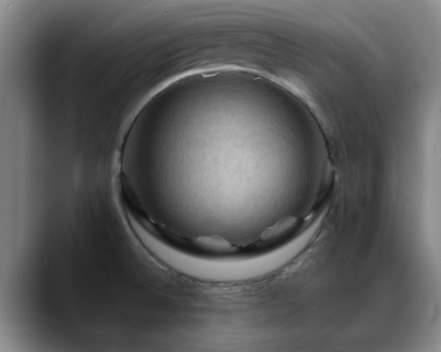 X0000088861524200706151726