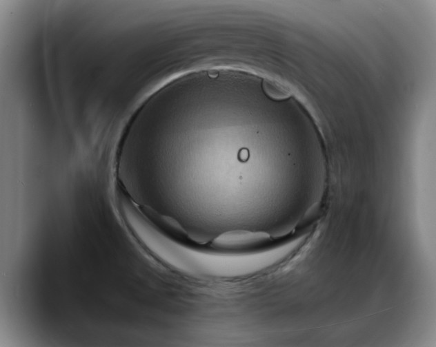 X0000088861525200706151726
