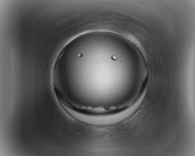 X0000088861528200706151726