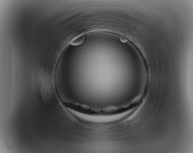 X0000088861529200706151726