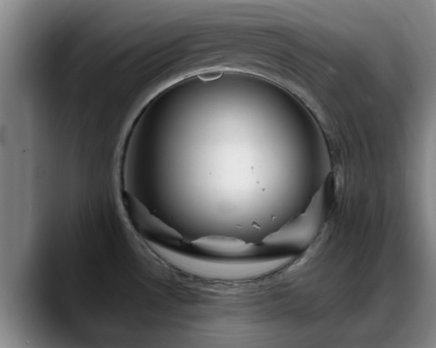 X0000088861530200706151726