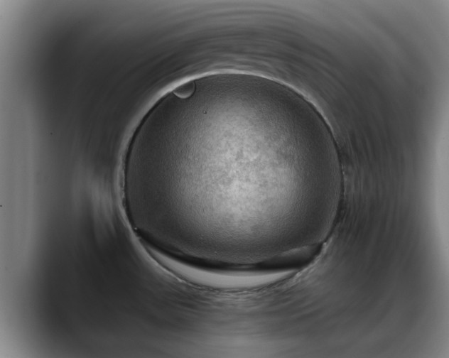 X0000088861531200706151726