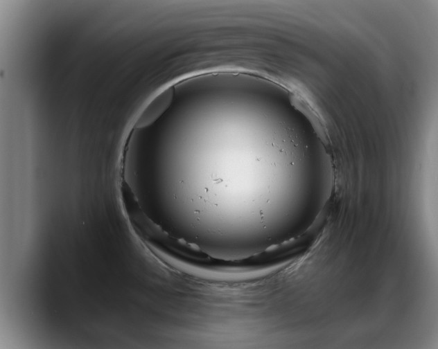 X0000088861532200706151727