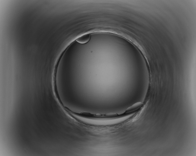 X0000088861533200706151727