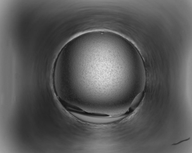 X0000088861534200706151727