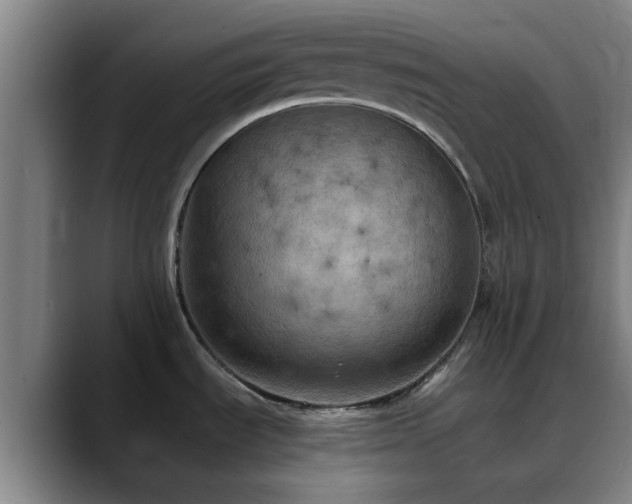 X0000088861535200706151727