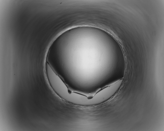 X0000088861536200706151727