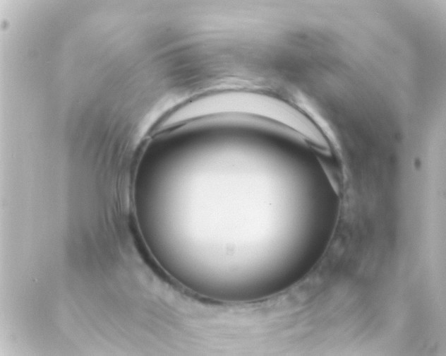 X0000088860011200706221736