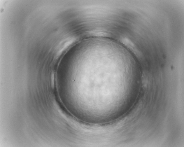X0000088860014200706221736