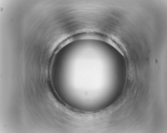 X0000088860015200706221736
