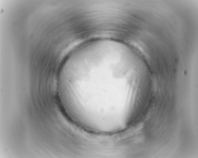 X0000088860016200706221736