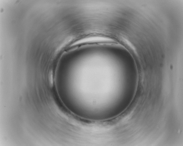 X0000088860020200706221736