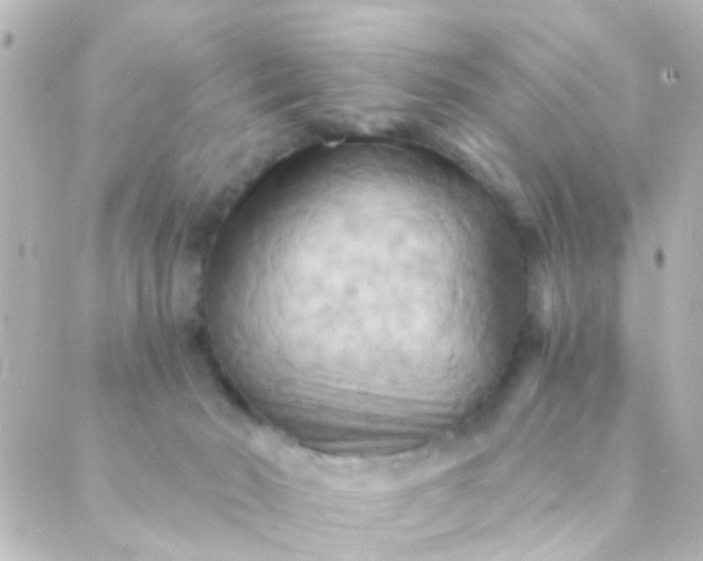 X0000088860030200706221736
