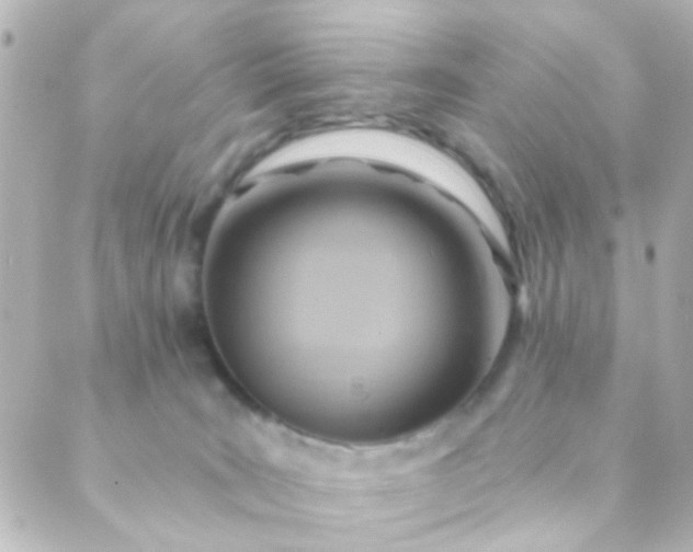X0000088860035200706221736