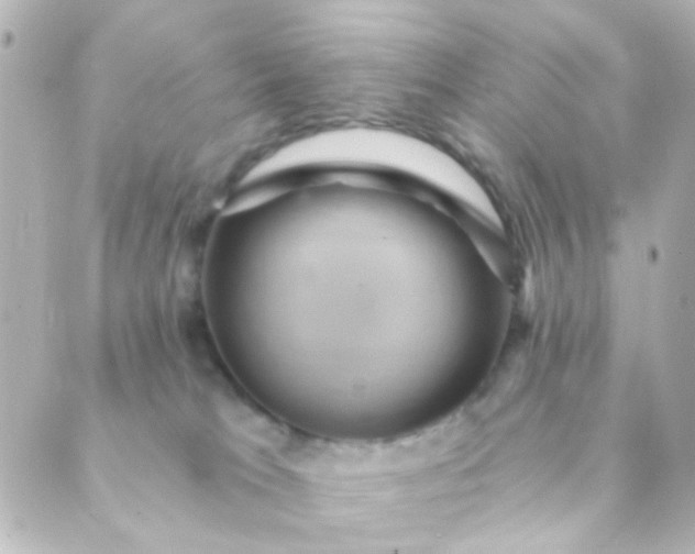 X0000088860037200706221736