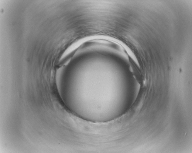 X0000088860039200706221736