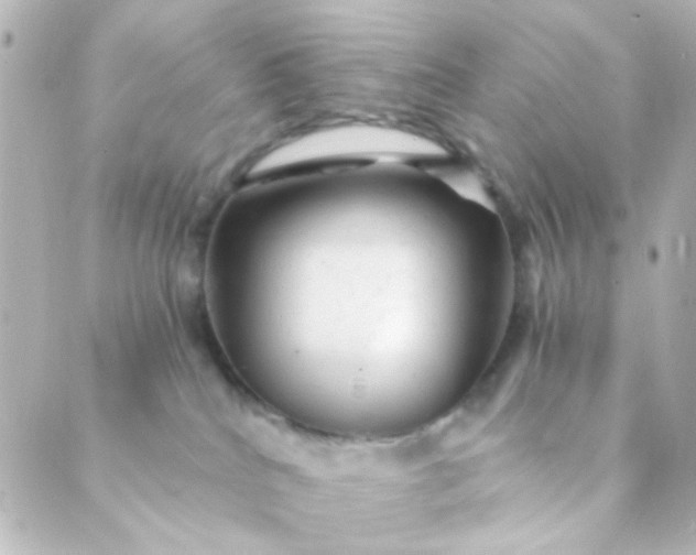 X0000088860040200706221736