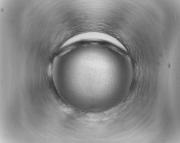 X0000088860041200706221736
