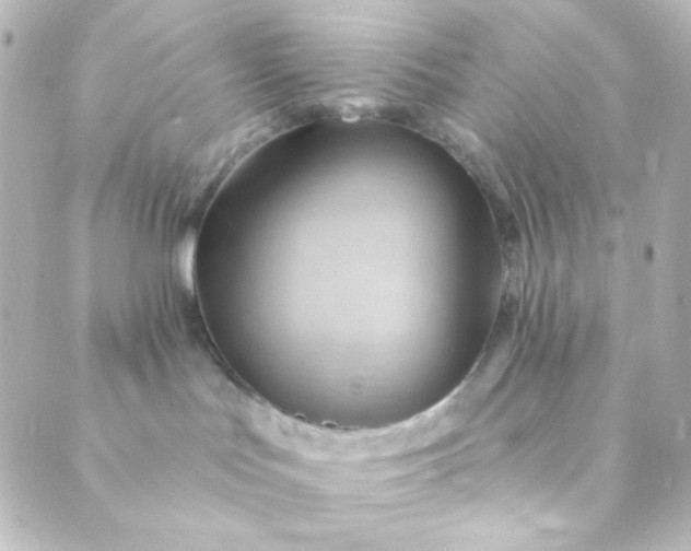 X0000088860047200706221736