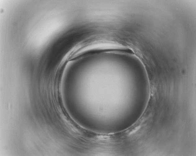 X0000088860052200706221735