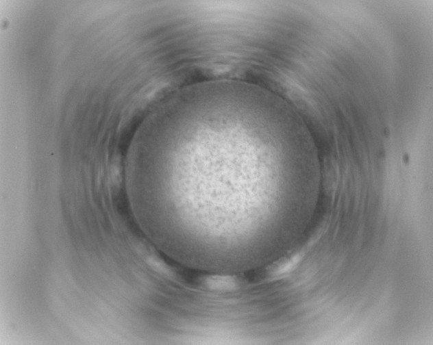 X0000088860085200706221735