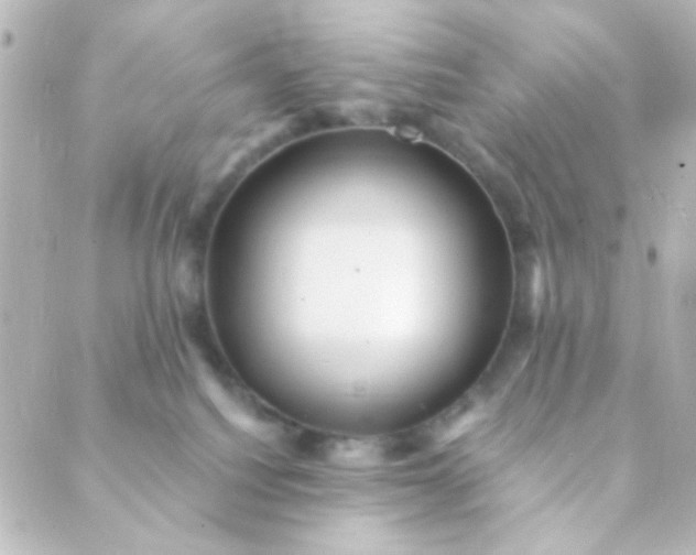 X0000088860088200706221735