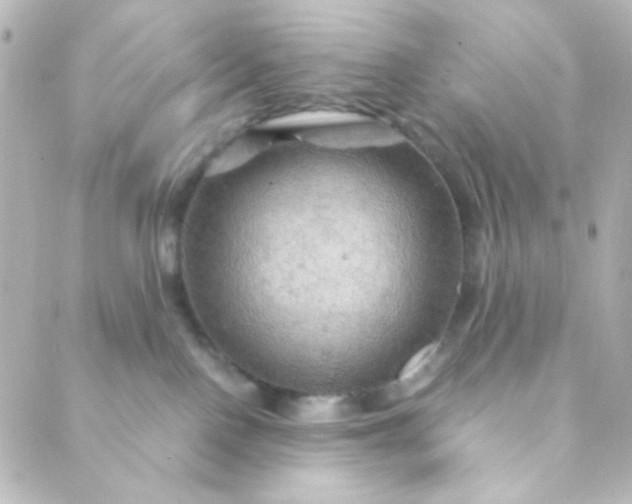 X0000088860090200706221735