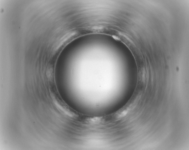 X0000088860092200706221736