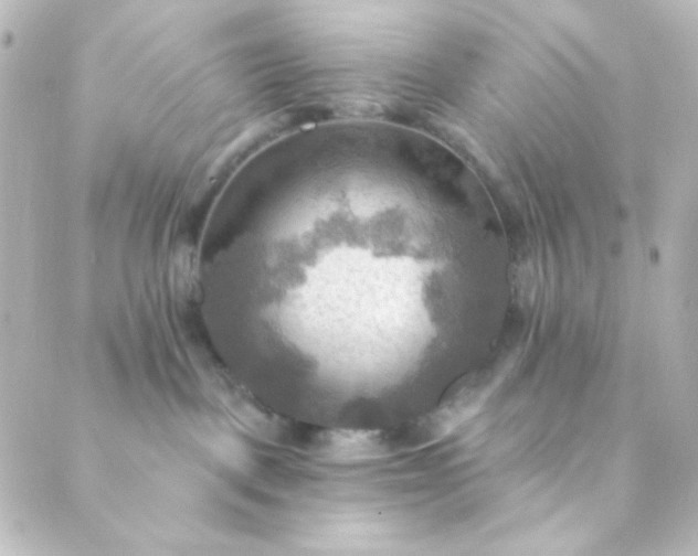 X0000088860093200706221736